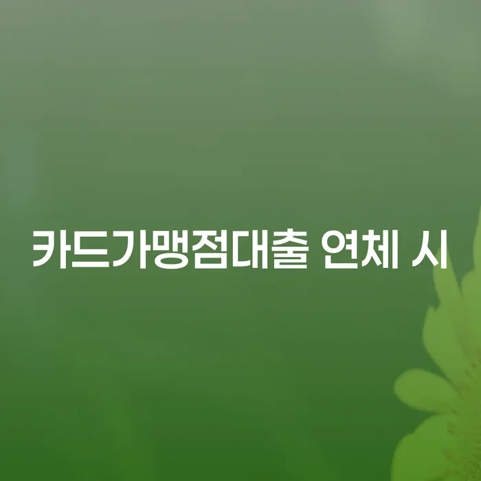 개인회생변호사 연체 채무 신속해결방법 이렇게 됩니다.
