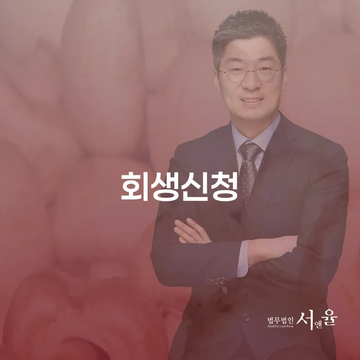 개인회생개시결정 빚갚는 방법 있는지확인