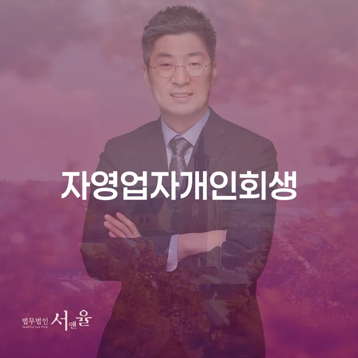 성남시 캐피탈대출 연체 시 개인회생 제도 상담받아보기