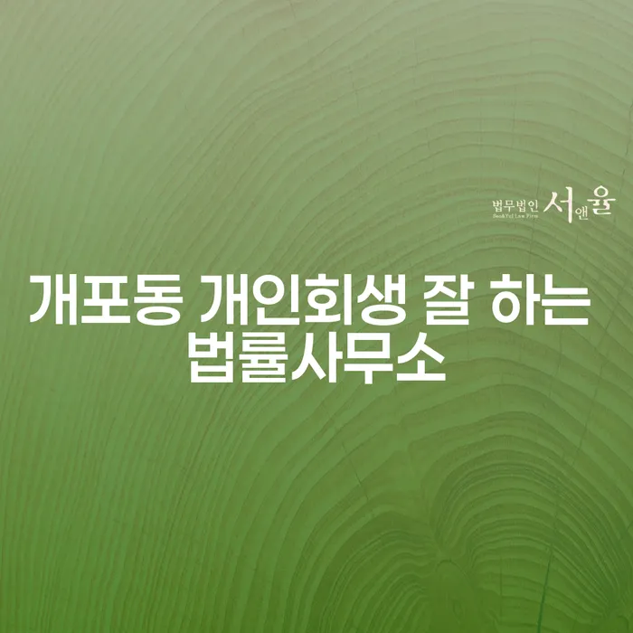 개포동 개인회생 잘 하는 법률사무소