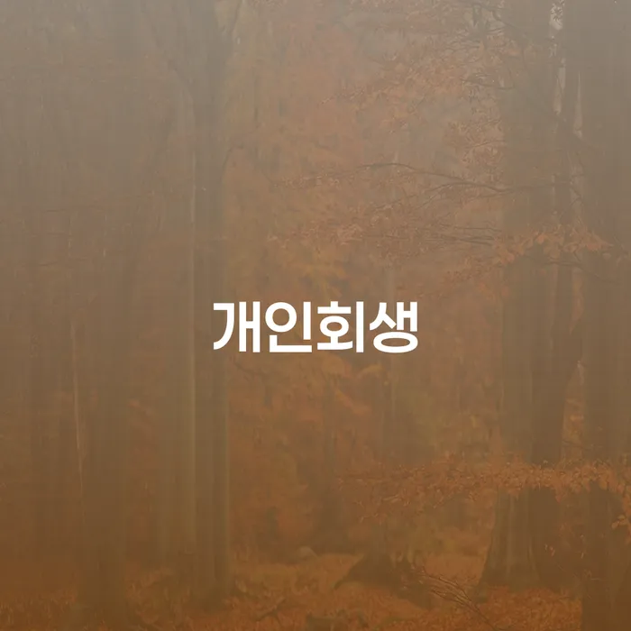 평창군 개인회생, 당신에게 필요한 해결책일까요?